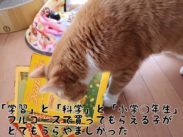 f:id:JuneNNN:20200302104058j:plain f:id:JuneNNN:20200302104058j:plain