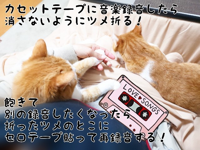 f:id:JuneNNN:20200302104110j:plain f:id:JuneNNN:20200302104110j:plain