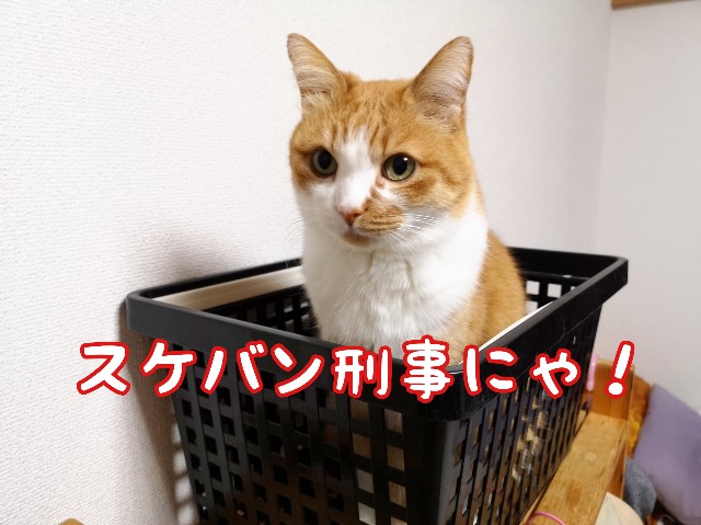 f:id:JuneNNN:20200308120938j:plain f:id:JuneNNN:20200308120938j:plain