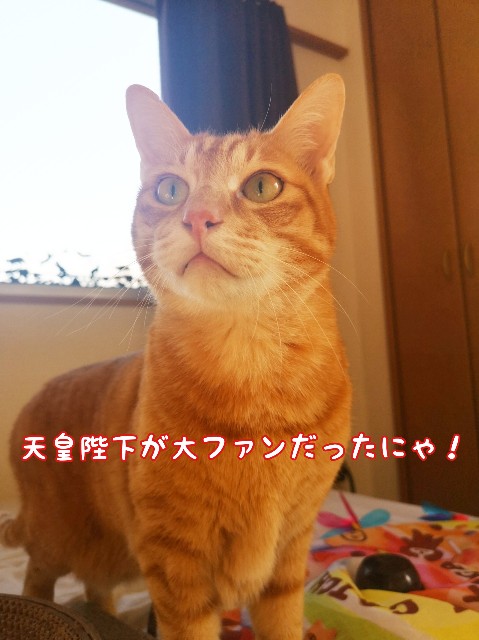 f:id:JuneNNN:20200308121001j:plain f:id:JuneNNN:20200308121001j:plain