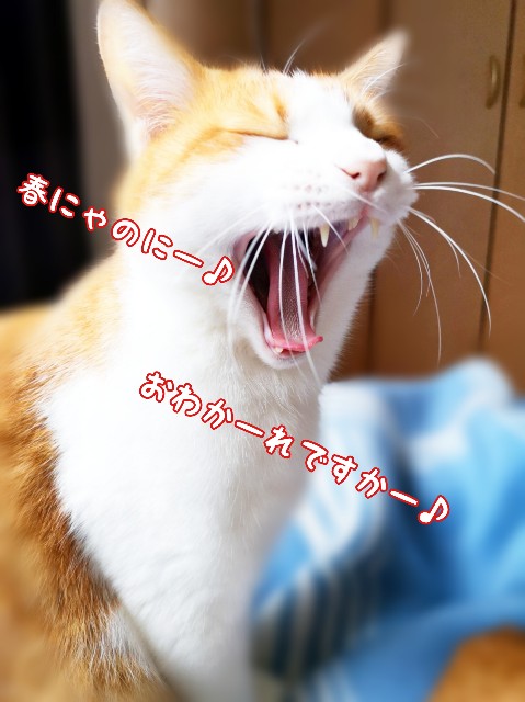 f:id:JuneNNN:20200308121011j:plain f:id:JuneNNN:20200308121011j:plain