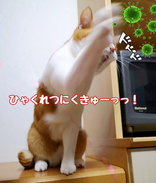 f:id:JuneNNN:20200312122309j:plain f:id:JuneNNN:20200312122309j:plain