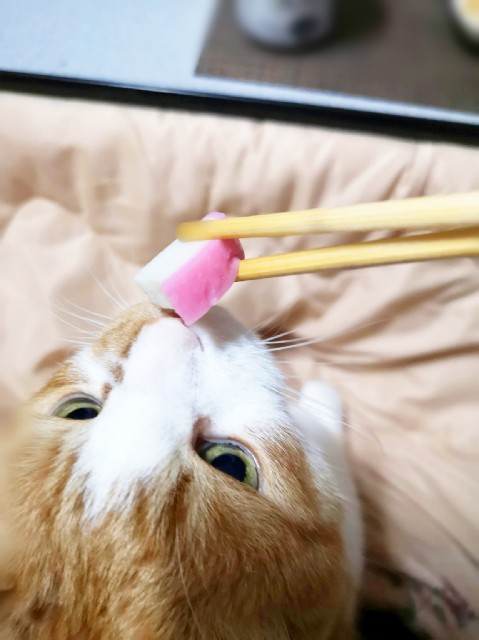 f:id:JuneNNN:20200316103956j:plain f:id:JuneNNN:20200316103956j:plain