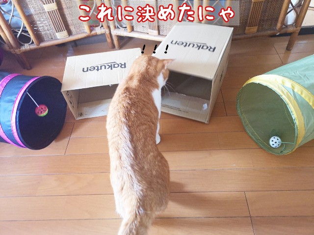 f:id:JuneNNN:20200318123951j:plain f:id:JuneNNN:20200318123951j:plain