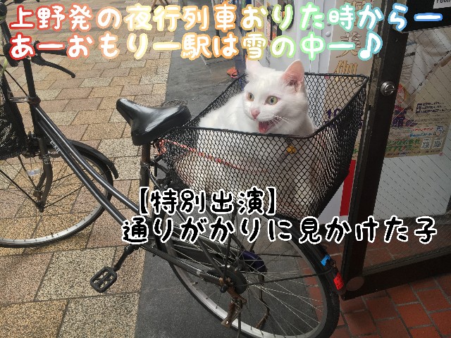 f:id:JuneNNN:20200319131400j:plain