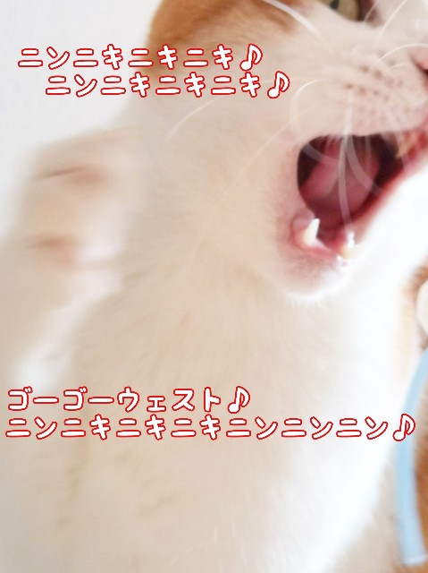 f:id:JuneNNN:20200319131410j:plain