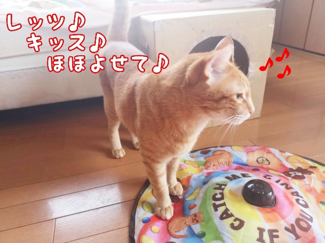 f:id:JuneNNN:20200319131417j:plain
