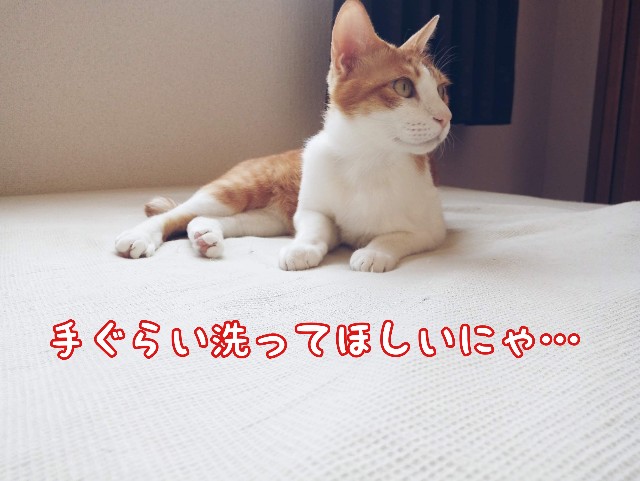 f:id:JuneNNN:20200319131758j:plain