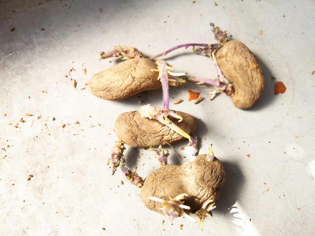 f:id:JuneNNN:20200323111909j:plain