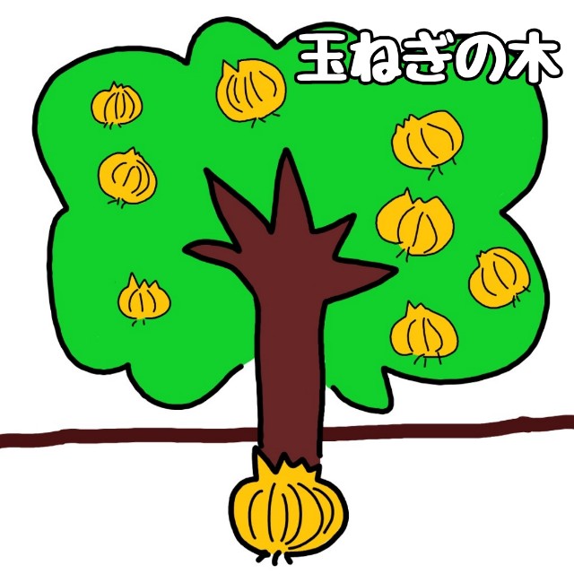 f:id:JuneNNN:20200324120046j:plain f:id:JuneNNN:20200324120046j:plain