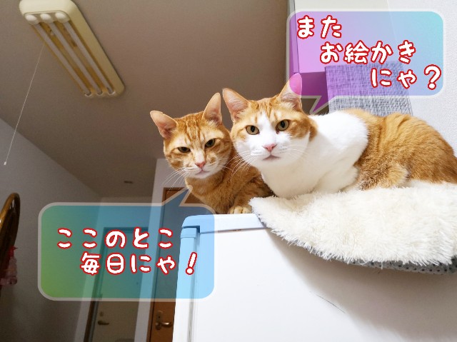 f:id:JuneNNN:20200325142024j:plain f:id:JuneNNN:20200325142024j:plain