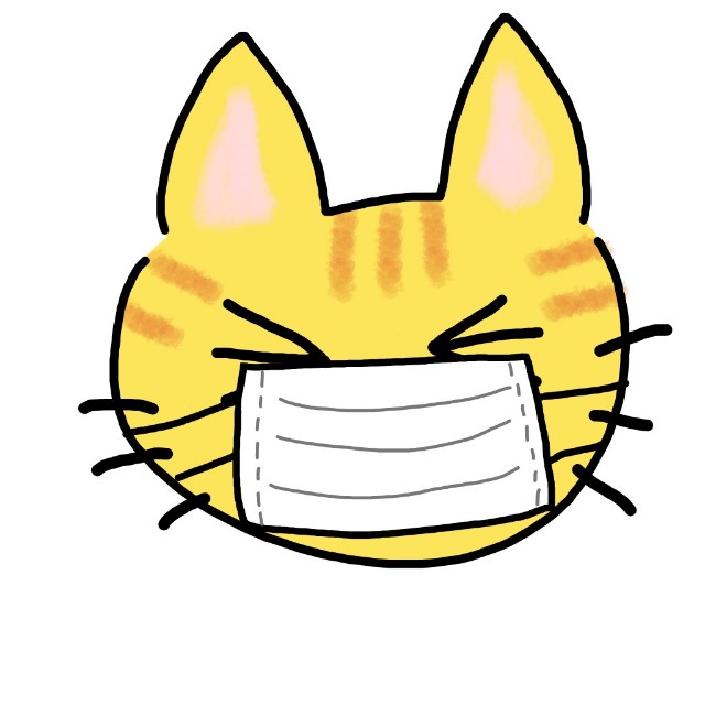 f:id:JuneNNN:20200325144151j:plain f:id:JuneNNN:20200325144151j:plain