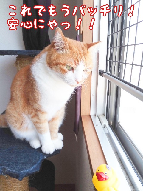 f:id:JuneNNN:20200325144337j:plain f:id:JuneNNN:20200325144337j:plain