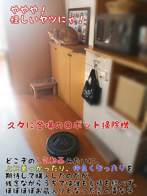 f:id:JuneNNN:20200329093858j:plain