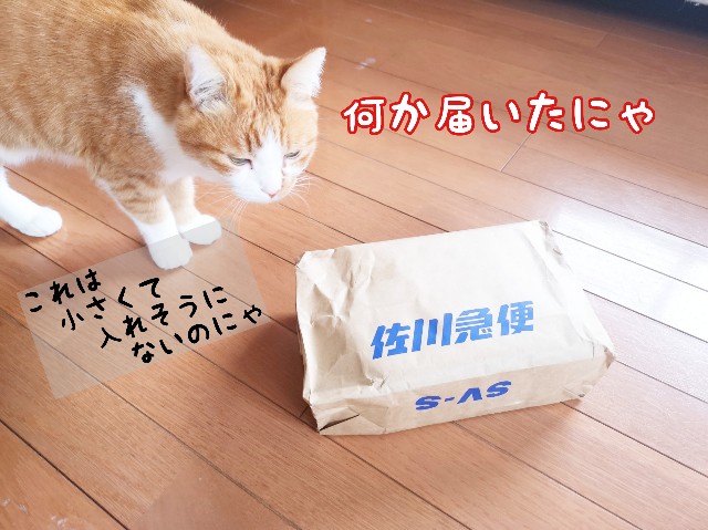 f:id:JuneNNN:20200329112507j:plain