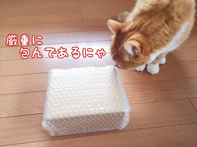 f:id:JuneNNN:20200329112515j:plain