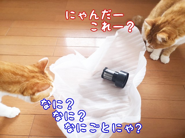 f:id:JuneNNN:20200329112520j:plain