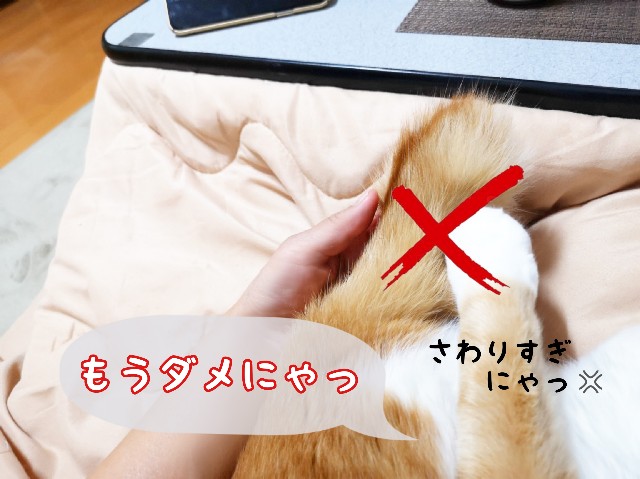 f:id:JuneNNN:20200330000300j:plain