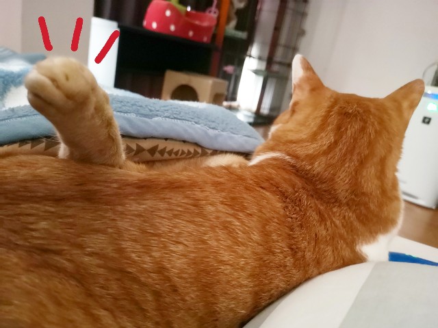 f:id:JuneNNN:20200331130524j:plain