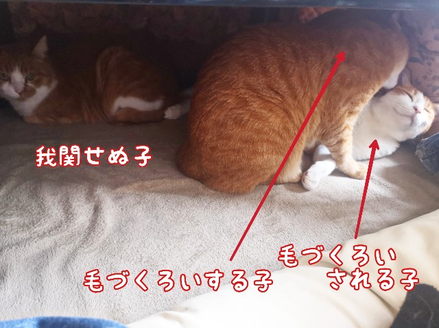 f:id:JuneNNN:20200331130612j:plain