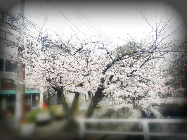 f:id:JuneNNN:20200331131138j:plain