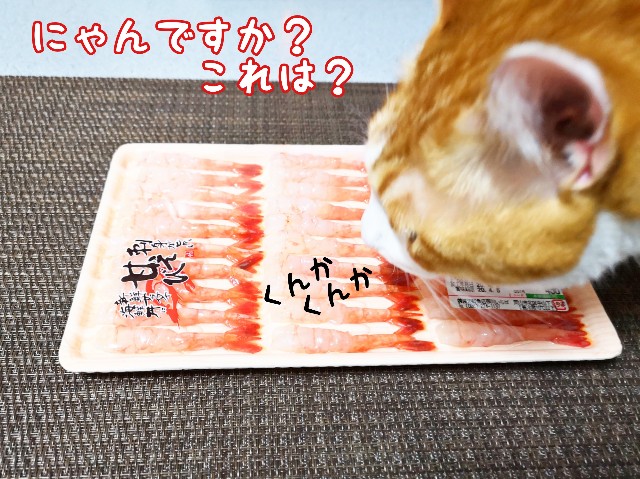 f:id:JuneNNN:20200404123506j:plain
