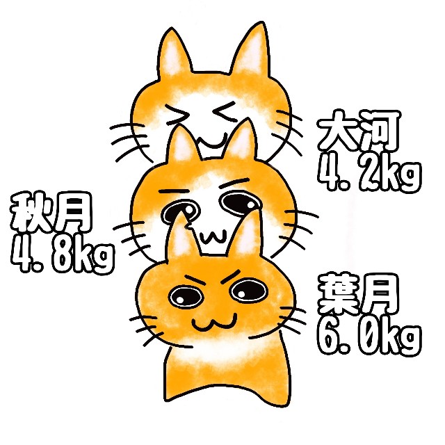 f:id:JuneNNN:20200404123551j:plain