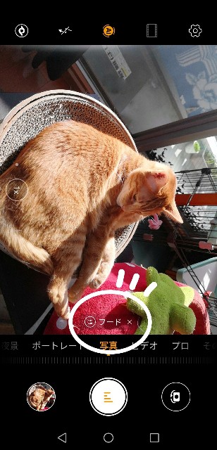 f:id:JuneNNN:20200405114923j:plain