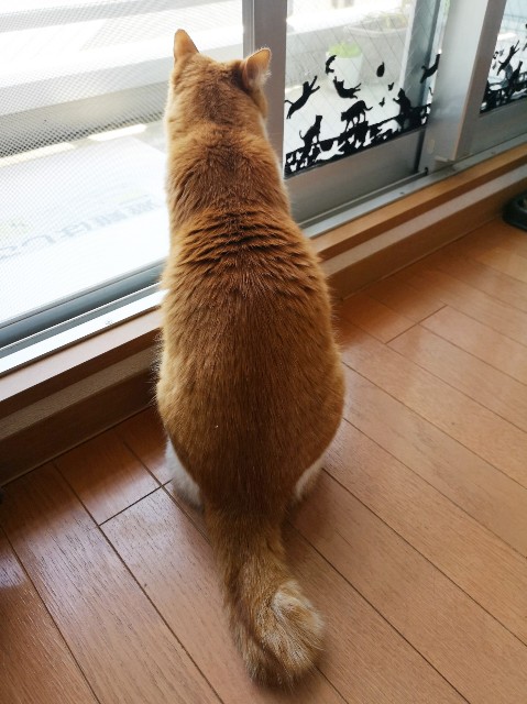 f:id:JuneNNN:20200406145106j:plain f:id:JuneNNN:20200406145106j:plain