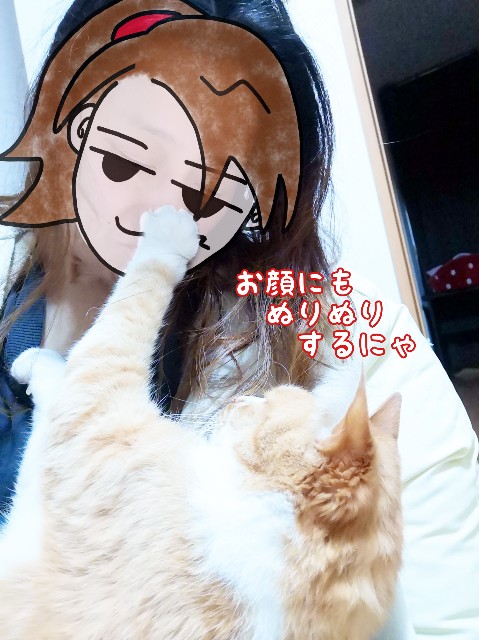 f:id:JuneNNN:20200411120646j:plain f:id:JuneNNN:20200411120646j:plain