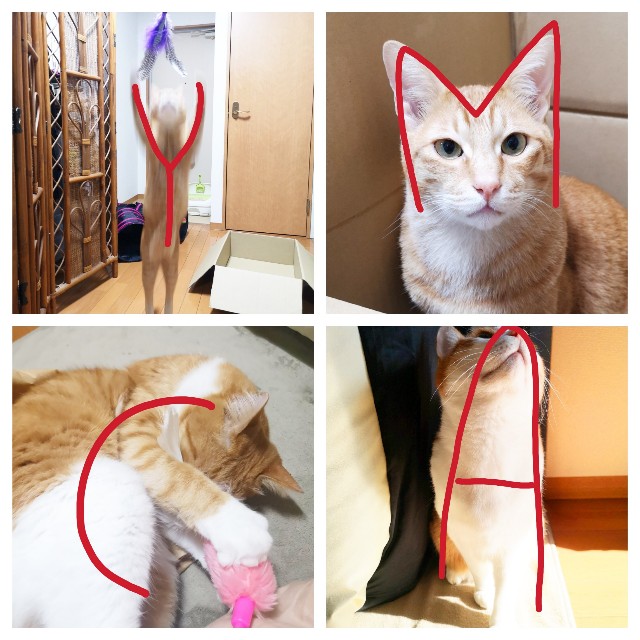 f:id:JuneNNN:20200416175919j:plain f:id:JuneNNN:20200416175919j:plain