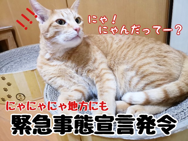 f:id:JuneNNN:20200417135418j:plain f:id:JuneNNN:20200417135418j:plain
