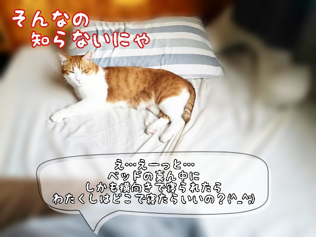 f:id:JuneNNN:20200419161022j:plain f:id:JuneNNN:20200419161022j:plain