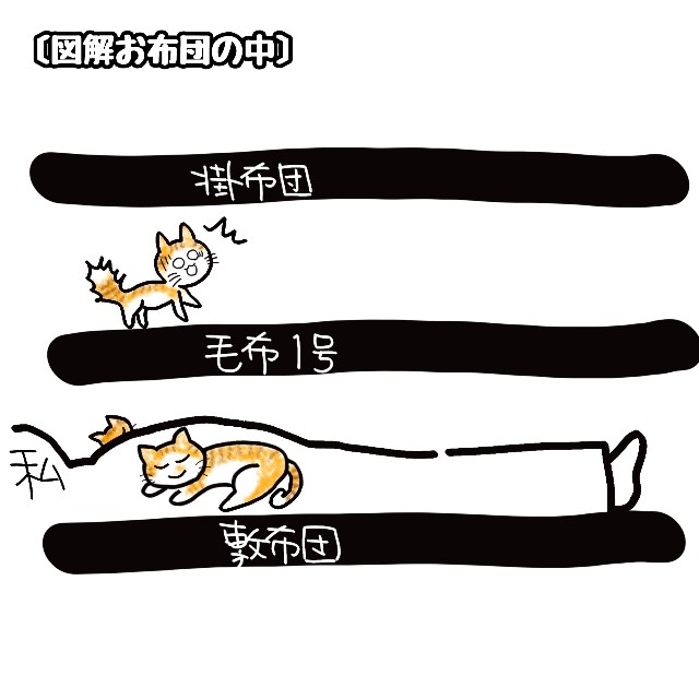 f:id:JuneNNN:20200419164406j:plain f:id:JuneNNN:20200419164406j:plain