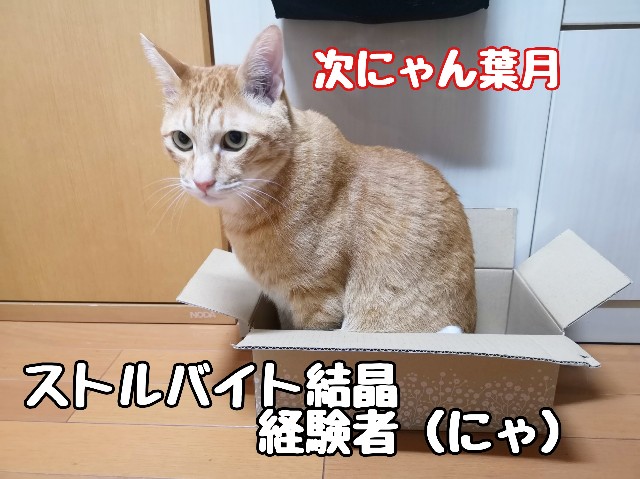 f:id:JuneNNN:20200423172344j:plain f:id:JuneNNN:20200423172344j:plain