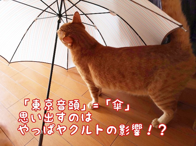 f:id:JuneNNN:20200501163052j:plain f:id:JuneNNN:20200501163052j:plain