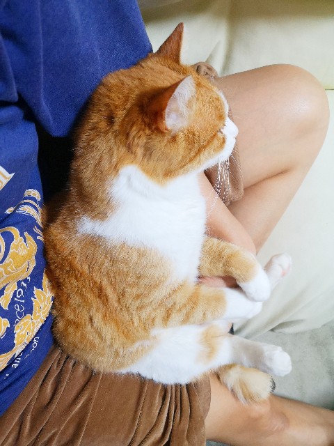 f:id:JuneNNN:20200506220808j:plain