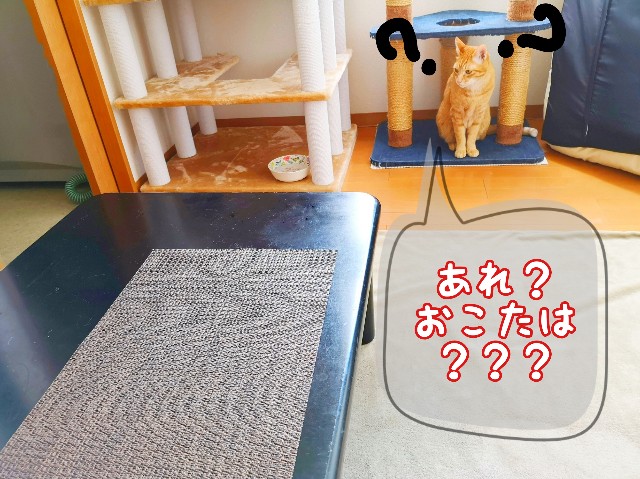 f:id:JuneNNN:20200506220837j:plain