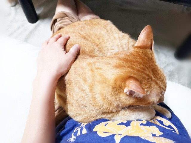 f:id:JuneNNN:20200506221707j:plain