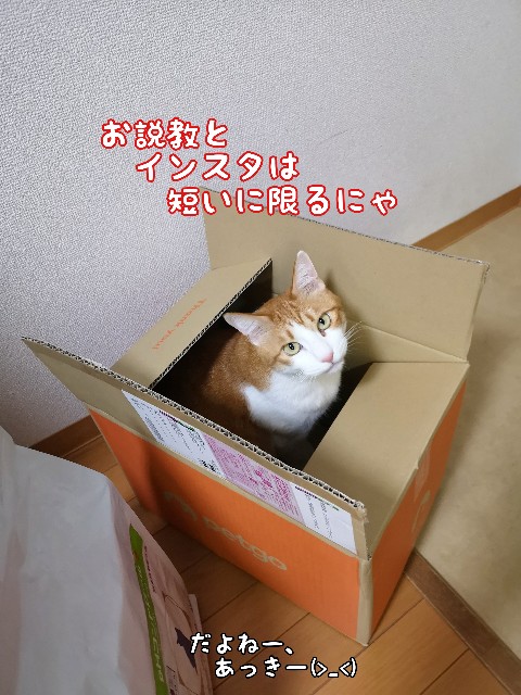 f:id:JuneNNN:20200601123005j:plain