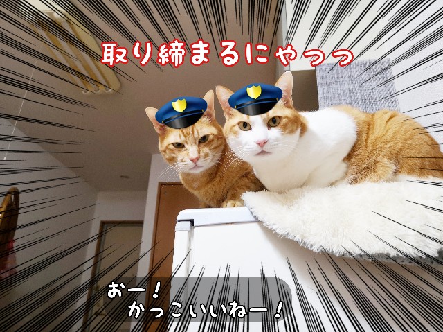 f:id:JuneNNN:20200601123116j:plain