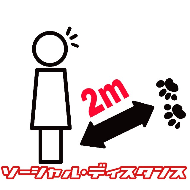 f:id:JuneNNN:20200602171336j:plain f:id:JuneNNN:20200602171336j:plain