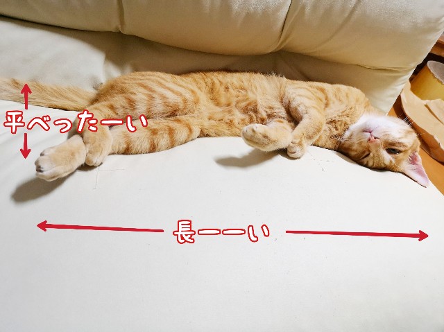 f:id:JuneNNN:20200602180553j:plain f:id:JuneNNN:20200602180553j:plain