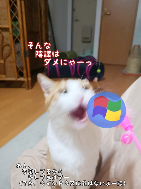 f:id:JuneNNN:20200606115012j:plain f:id:JuneNNN:20200606115012j:plain