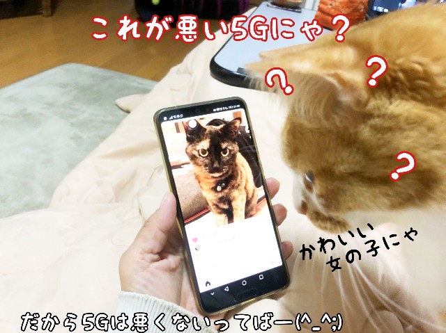 f:id:JuneNNN:20200606122154j:plain f:id:JuneNNN:20200606122154j:plain