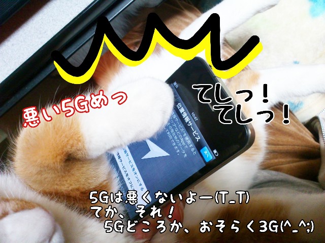 f:id:JuneNNN:20200606122207j:plain f:id:JuneNNN:20200606122207j:plain