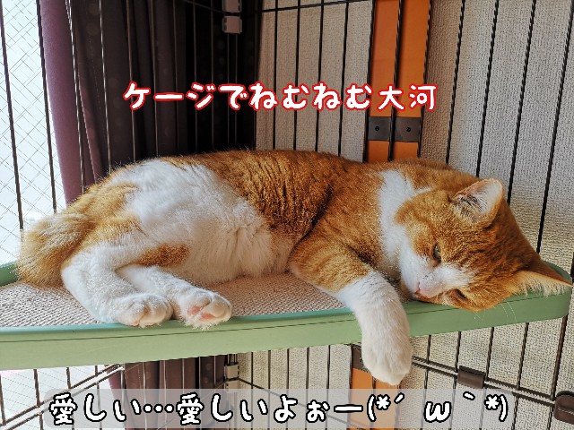 f:id:JuneNNN:20200608102821j:plain