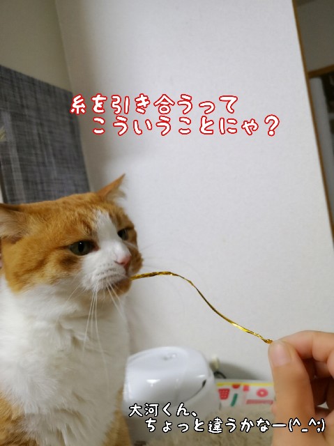 f:id:JuneNNN:20200608104834j:plain