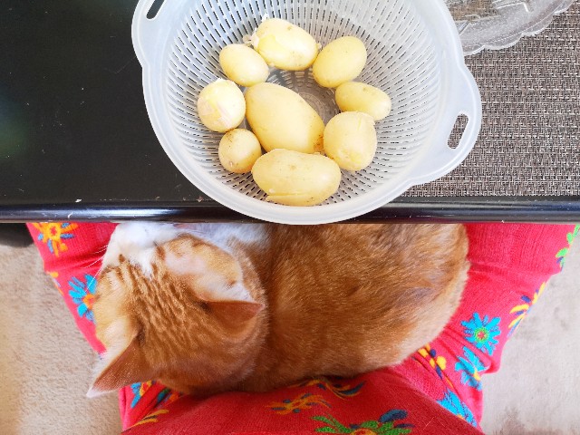 f:id:JuneNNN:20200608133500j:plain