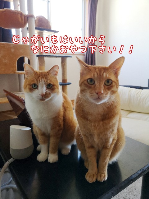 f:id:JuneNNN:20200609115737j:plain